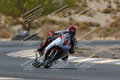 media/Apr-10-2022-SoCal Trackdays (Sun) [[f104b12566]]/Turn 5 Tree of Life (1040am)/